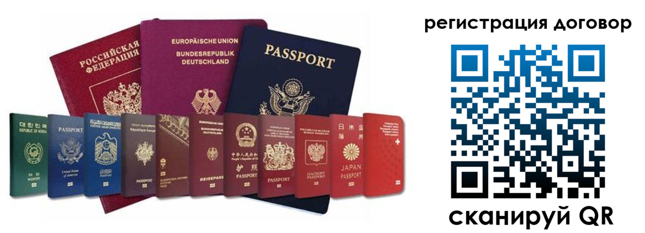 прописка для работы в Ельне